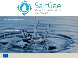 Presentazione standard di PowerPoint