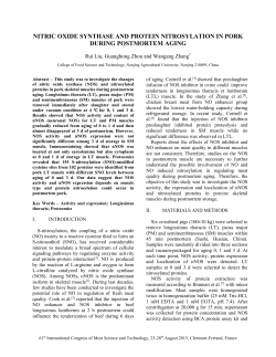 NITRIC OXIDE SYNTHASE AND PROTEIN NITROSYLATION IN