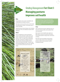 Managing pastures improves soil health - AIMS