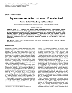 Aqueous ozone in the root zone: Friend or foe?