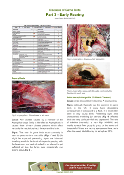 Part 3 - Early Rearing Part 3 - Early Rearing