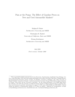 Pain at the Pump: The Effect of Gasoline Prices on New and Used