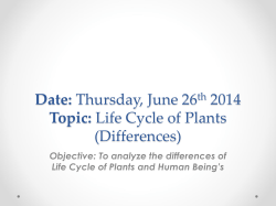 Life Cycle of Plants (Differences)