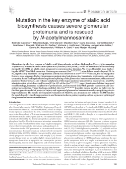 Mutation in the key enzyme of sialic acid biosynthesis causes