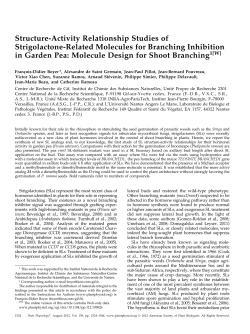 Structure-Activity Relationship Studies of Strigolactone