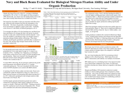 Navy and Black Beans and Nitrogen Fixation