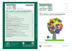 The evolution of protein phosphorylation