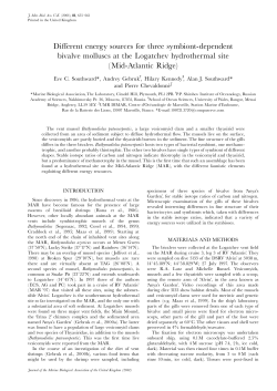 Different energy sources for three symbiont-dependent