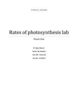 Rates of photosynthesis lab