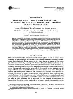 formation and lateralization of internal representations