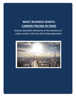Statements on Carbon Markets in the Paris Agreement