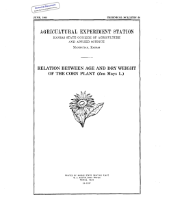 STB054 1943 Relation between Age and Dry Weight of the Corn Plant