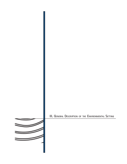 iii. general description of the environmental setting