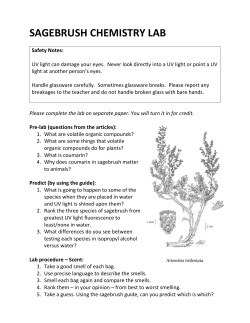 Lab procedure &ndash; UV light fluorescence in water