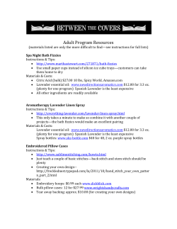 Adult SRPs 2012 handout