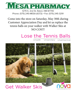 Lose the Tennis Balls Poster - 8.5 x 11 in copy