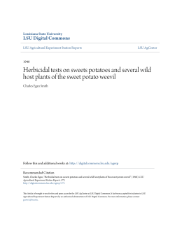 Herbicidal tests on sweets potatoes and several wild host plants of