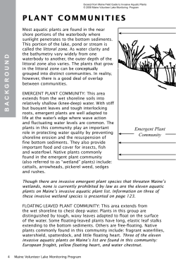 Maine Field Guide to Invasive Aquatic Plants and their common