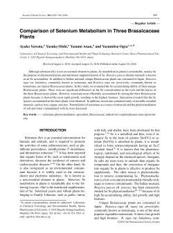 Comparison of Selenium Metabolism in Three Brassicaceae Plants