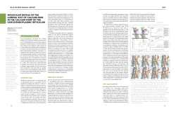 molecular details of the luminal exit of calcium ions in the calcium
