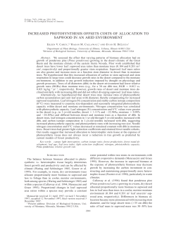 increased photosynthesis offsets costs of allocation to