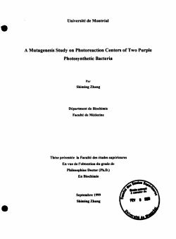 A Mutagenesis Study on Photoreaction Centen of Two Purple
