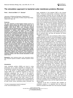 The simulation approach to bacterial outer membrane proteins