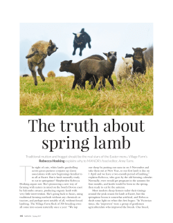 Traditional mutton and hogget should be the real