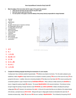 Nerve Impulse Study Guide KEY
