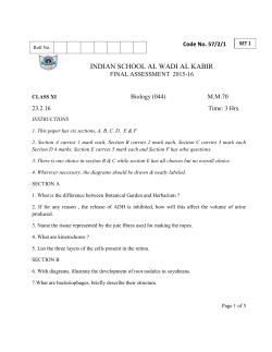 section b - Indian School Al Wadi Al Kabir