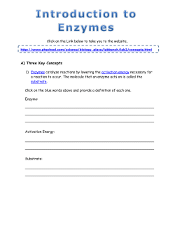 Introduction to Enzymes - Haynes
