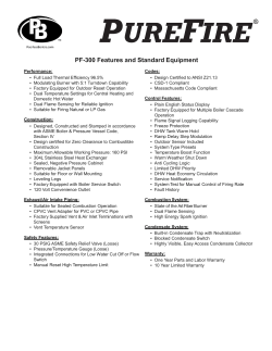 PUREFIRE&reg; PF-300 - Peerless Boilers