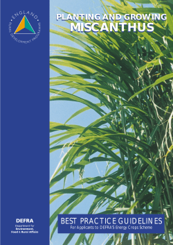 PLANTING AND GROWING MISCANTHUS - BEST