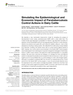 Simulating the Epidemiological and Economic Impact of