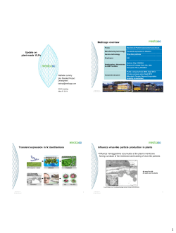 Présentation PowerPoint