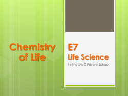 Chemistry of Life - 首页- Beijing SMIC Private School