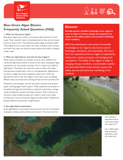 Blue-Green Algae Blooms Frequently Asked Questions (FAQ