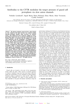 Antibodies to the CFTR modulate the turgor pressure of guard cell