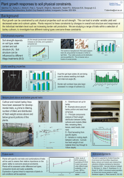 Plant growth responses to soil physical constraints