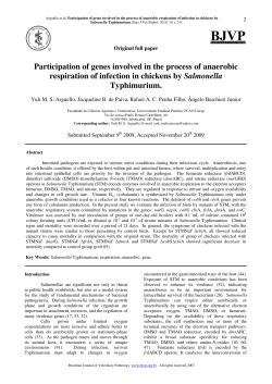 Participation of genes involved in the process of anaerobic