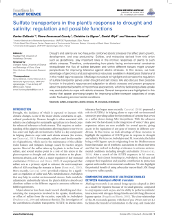 Sulfate transporters in the plant`s response to drought and salinity