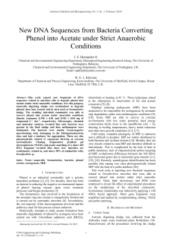 New DNA Sequences from Bacteria Converting Phenol into Acetate