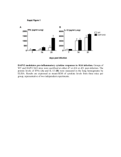 Supplementary Information (doc 324K)