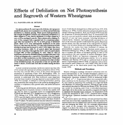 Effects of Defoliation on Net Photosynthesis and Regrowth of