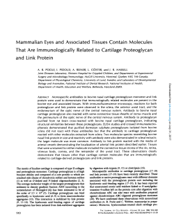 Mammalian Eyes and Associated Tissues Contain Molecules That