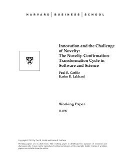 Innovation and the Challenge of Novelty