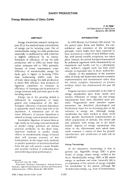 DAI RY PRODUCTION Energy Metabolism of Dairy Cattle