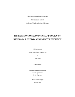 three essays of economics and policy on renewable energy