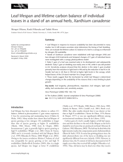 Leaf lifespan and lifetime carbon balance of individual leaves in a
