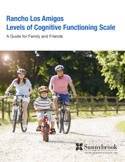 Rancho Los Amigos: Levels of Cognitive